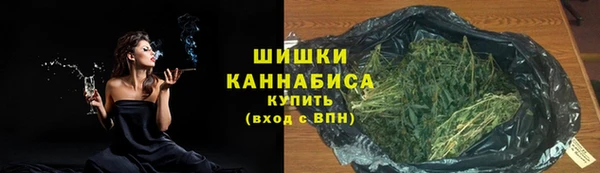 гидра Майский