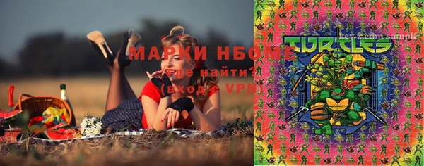 гидра Магас