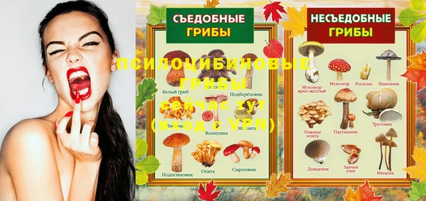 гидра Майский
