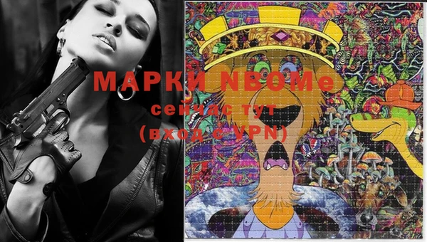 гидра Магас