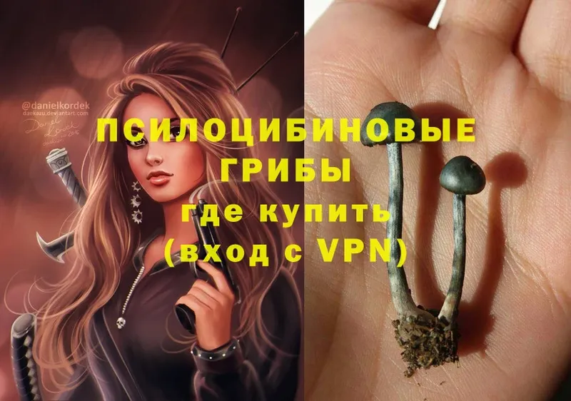 купить  цена  Вытегра  Псилоцибиновые грибы MAGIC MUSHROOMS 