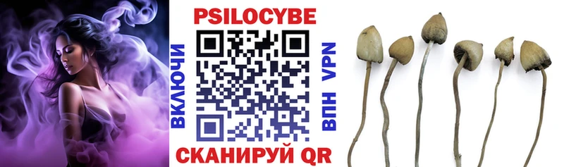 купить наркотик  Вытегра  Галлюциногенные грибы мицелий 